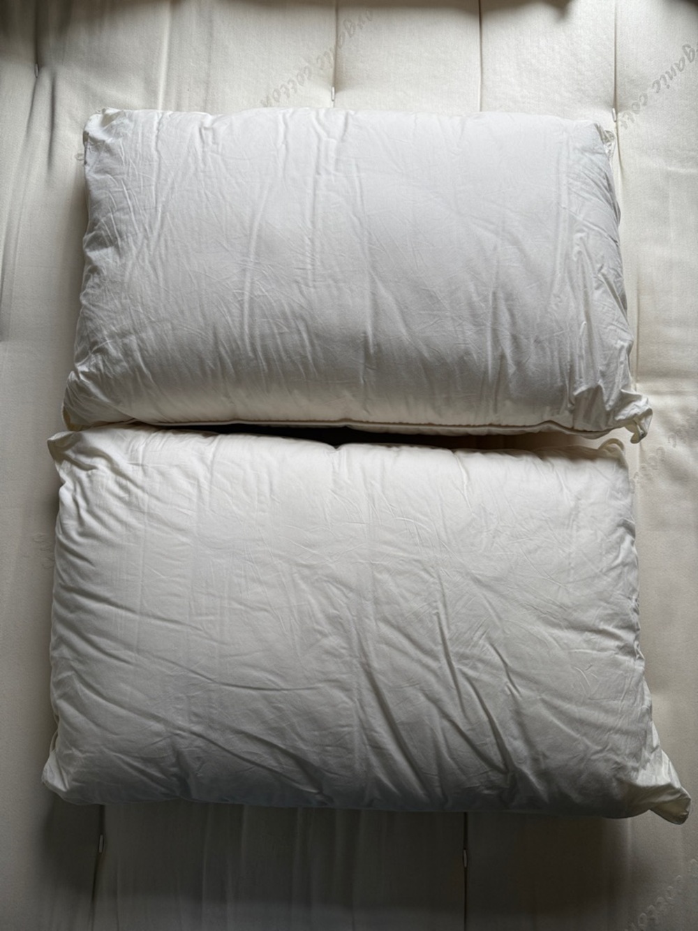 Queen Pillows - 100% Organic Cotton